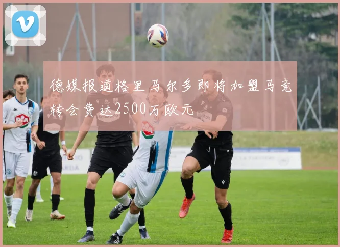德媒报道格里马尔多即将加盟马竞转会费达2500万欧元